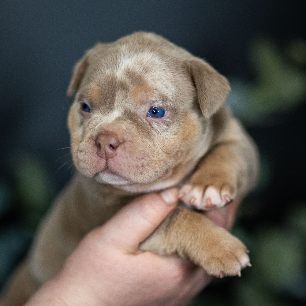 Female 2 (Tao + Nuysha)