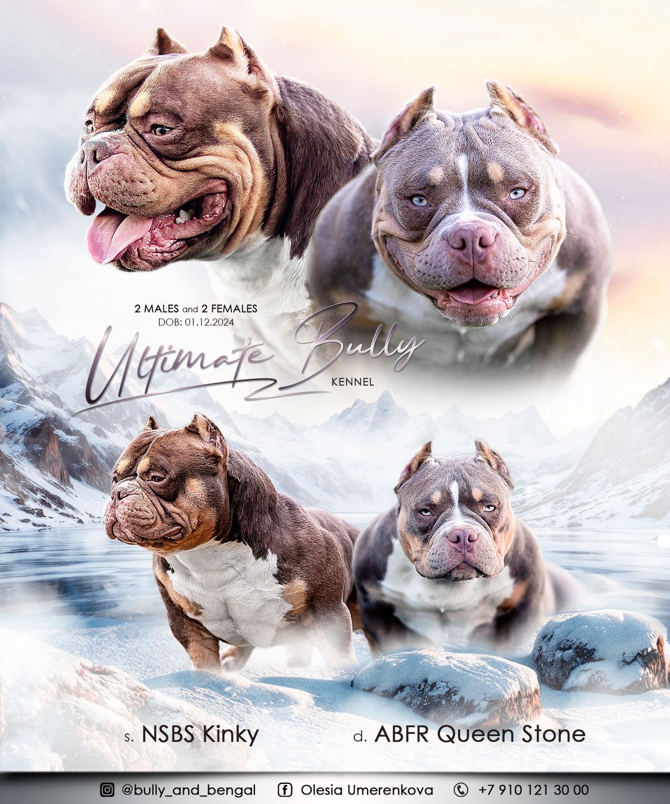 NSBC Kinky × ABFR Queen Stone