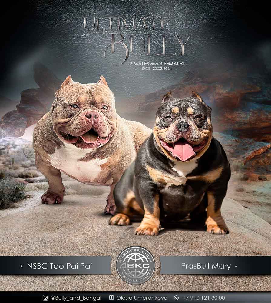 NSBC Tao Pai Pai × PrasBull Mary