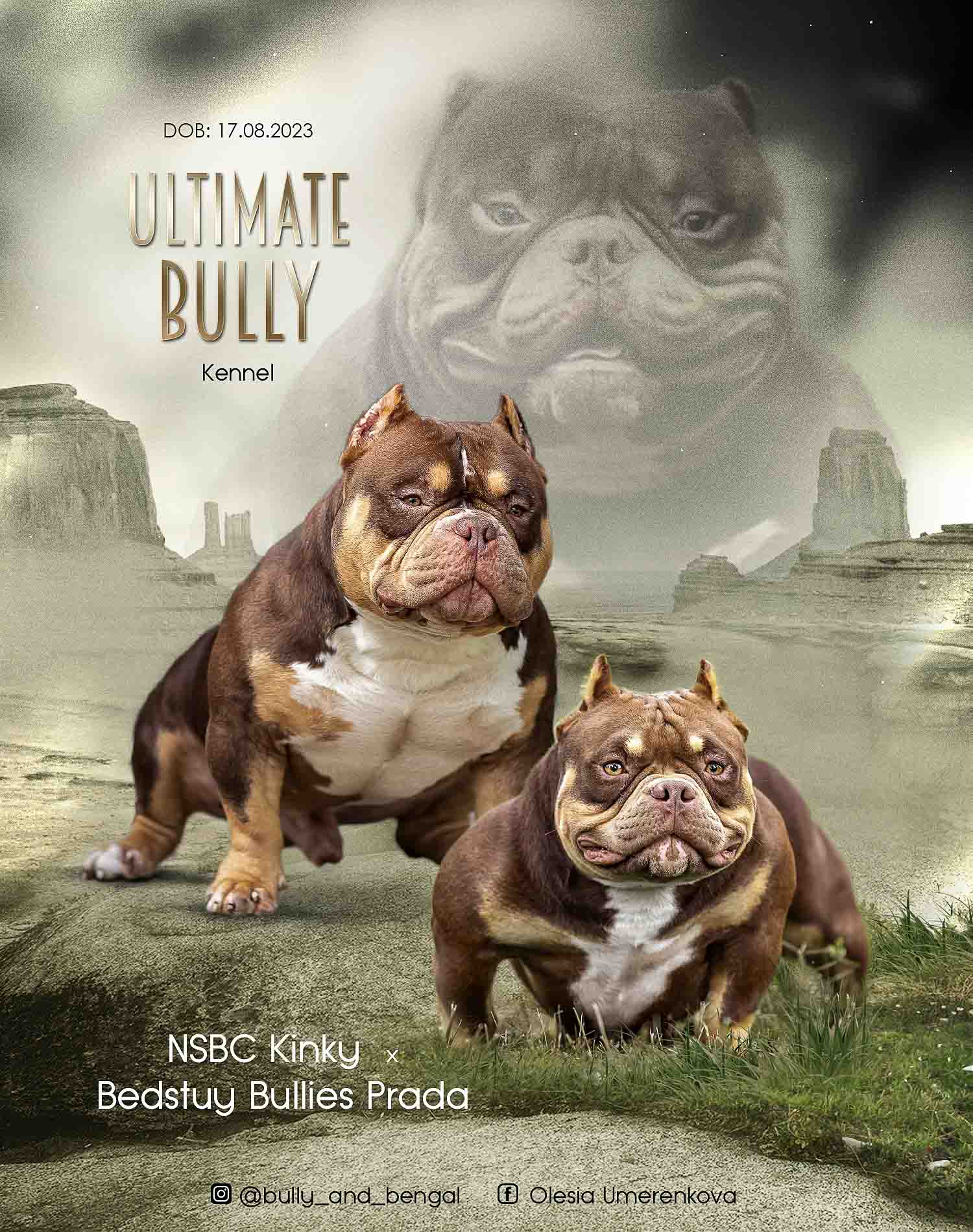 NSBC Kinky × Bedstuy Bullies Prada